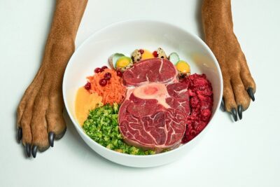 barf hondenvoer met rauw vlees eieren groenten