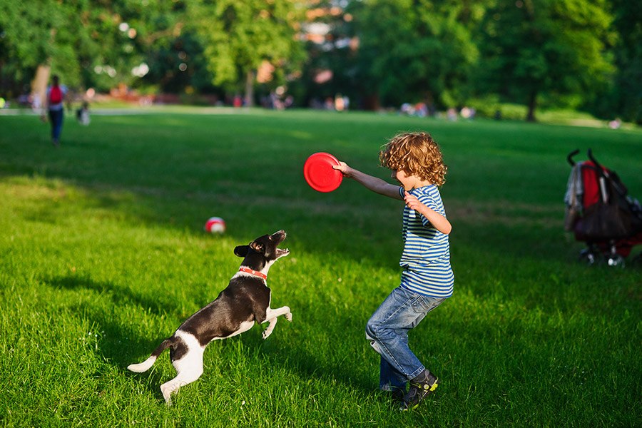 hond speelt met jongetje in park