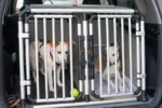 honden in autobench