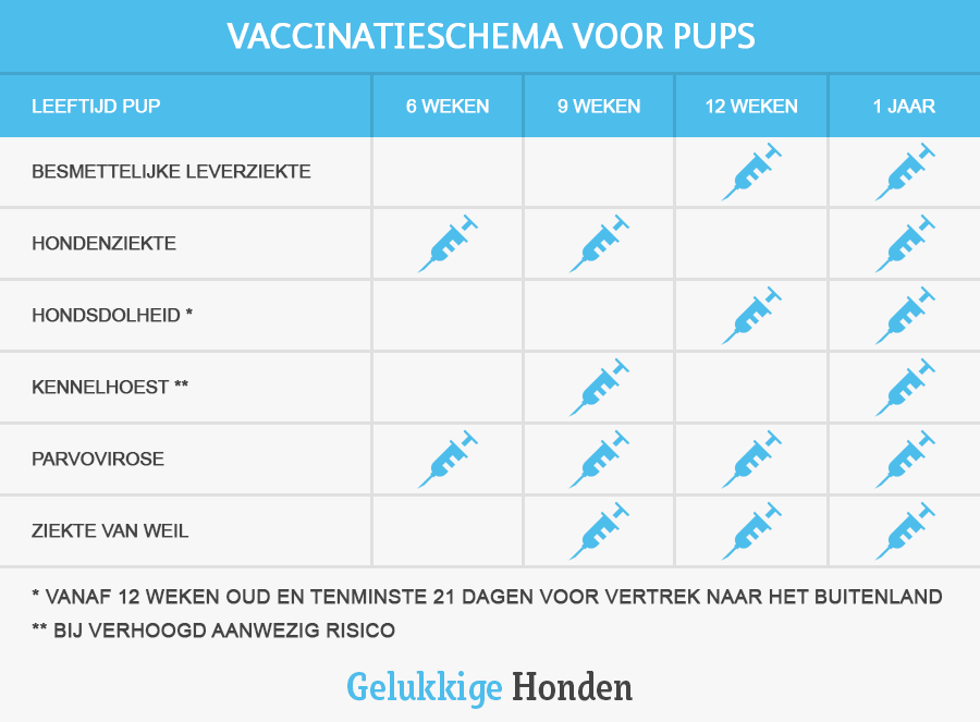 vaccinatieschema pups